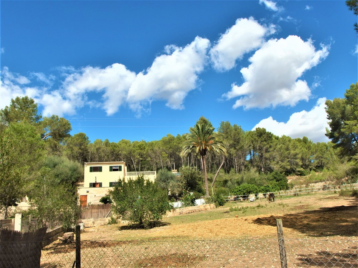 Qlistings - Old Beautiful House in Algaida, Mallorca Property Thumbnail