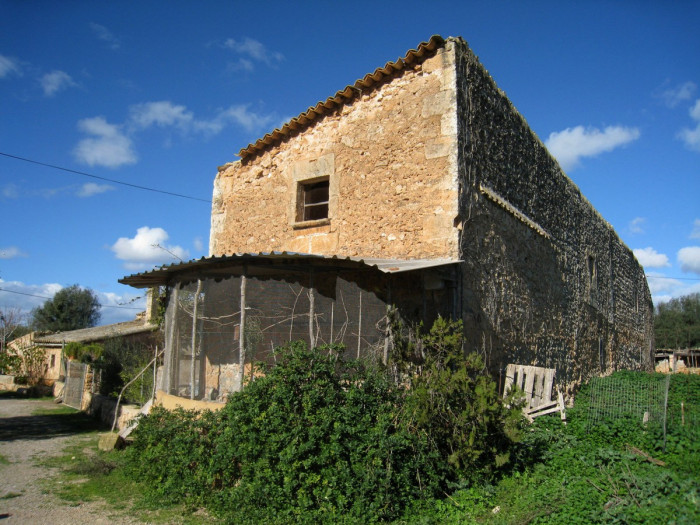 Qlistings House in Son Ferriol, Mallorca image 5