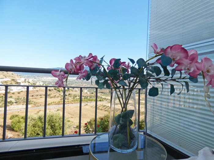 Qlistings Lovely Spacious Apartments in Coín, Costa del Sol image 3
