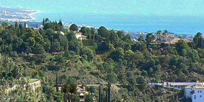 Qlistings Stunning villa in El Madronal image 4