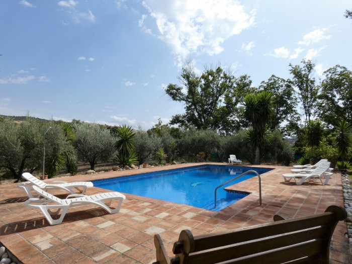 Qlistings Spacious House in Coín, Costa del Sol image 9